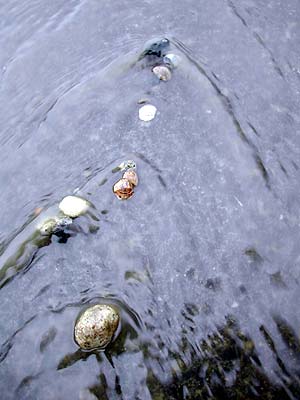 Road Rivulets