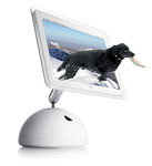 iDog