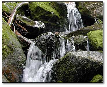 Beaver Brook Trail Waterfall