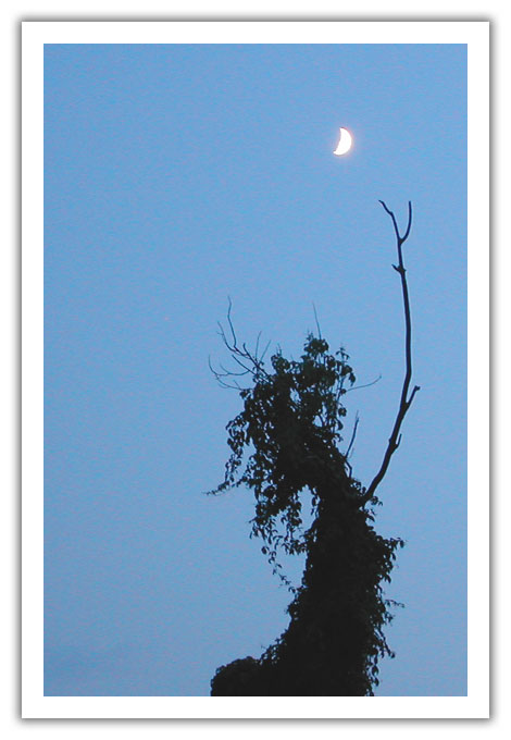 the waning