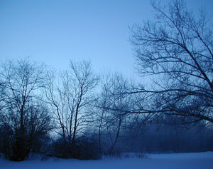 Blue Morning