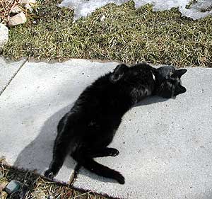 Smudge 2002